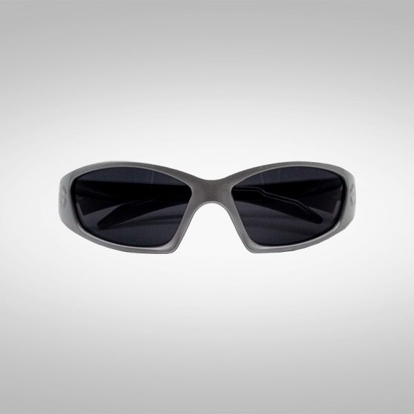 Schnelle Brille Max Speed V2 in Silber von vorne